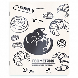 Тетрадь предметная КОТ-НЕПОСЕДА 48 л., пластиковая обложка, ГЕОМЕТРИЯ, клетка, подсказ, BRAUBERG, 405532