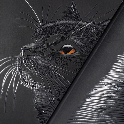 Тетрадь А5, 48 л., HATBER, скоба, клетка, матовая ламинация, 3D-лак, "Black Cat" (микс в спайке), 093159, 48Т5лолВ1