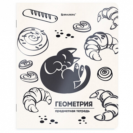 Тетради предметные, КОМПЛЕКТ 12 ПРЕДМЕТОВ 48л, пластиковая обложка, BRAUBERG "КОТ-НЕПОСЕДА", 405542