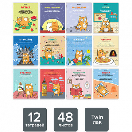 Тетради предметные, КОМПЛЕКТ 12 ПРЕДМЕТОВ, "КОТ-ЭНТУЗИАСТ", 48 л., TWIN-лак, BRAUBERG, 404609