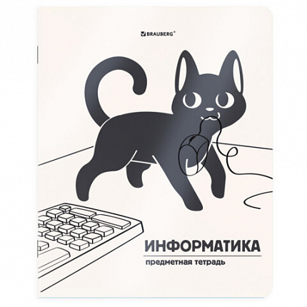 Тетради предметные, КОМПЛЕКТ 12 ПРЕДМЕТОВ 48л, пластиковая обложка, BRAUBERG "КОТ-НЕПОСЕДА", 405542