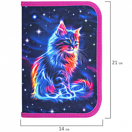 Пенал BRAUBERG, 1 отделение, полиэстер, 21х14 см, "Space cat", 273518