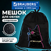Мешок для обуви BRAUBERG, с петлёй, карман на молнии, 47х37 см, "Кот в очках", 270910