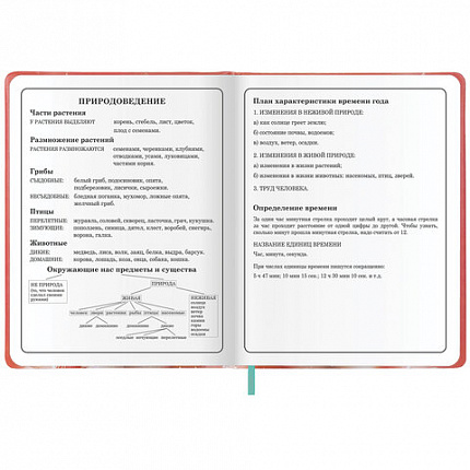 Дневник 1-4 класс 48л, кожзам (твердая с поролоном), печать, аппликация, ЮНЛАНДИЯ, Котик, 107224