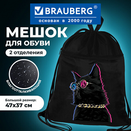 Мешок для обуви BRAUBERG, с петлёй, карман на молнии, 47х37 см, "Кот в очках", 270910