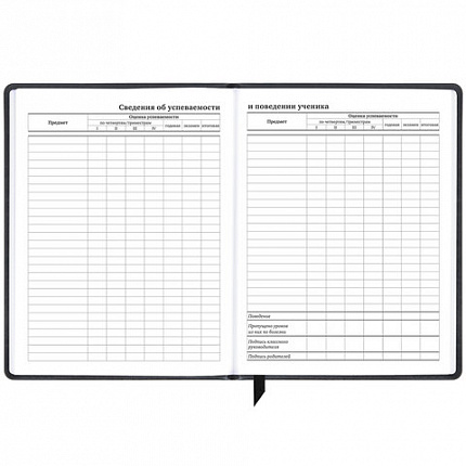 Дневник 1-11 класс 48 л., кожзам (твердая), печать, резинка, конверт, BRAUBERG, "Аниме", 106578