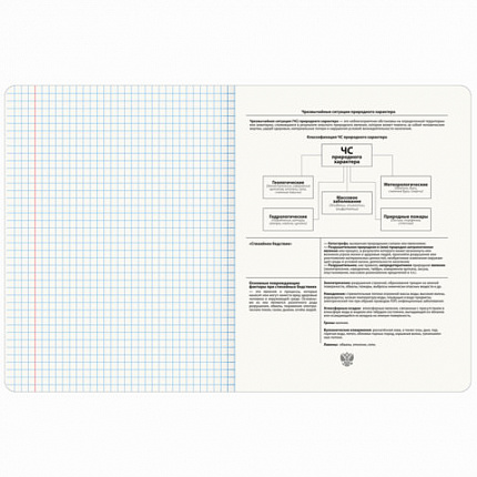 Тетрадь предметная CLASSIC 48 л., рельефный картон, матовая ламинация, ОБиЗР, клетка, подсказ, BRAUBERG, 405147