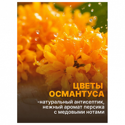 Средство для мытья посуды 450 мл, AOS "Османтус", 1746-3