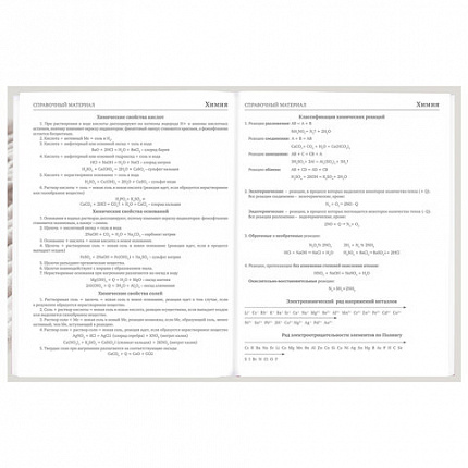 Дневник 5-11 класс 48 л., твердый, BRAUBERG, глянцевая ламинация, с подсказом, "Котик", 107188