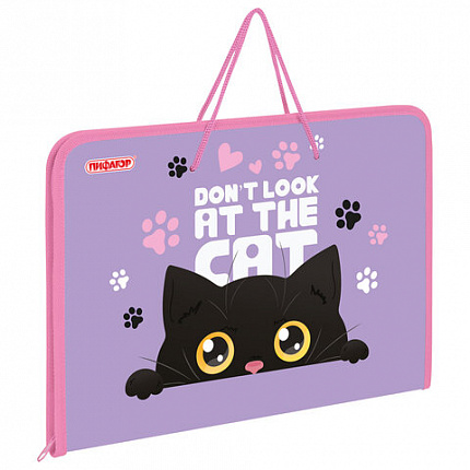 Папка для труда на молнии с ручками ПИФАГОР А4, 1 отделение, пластик, органайзер, "Observer cat", 274538