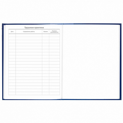 Дневник 5-11 класс 48 л., твердый, BRAUBERG, глянцевая ламинация, с подсказом, "Символика", 106878