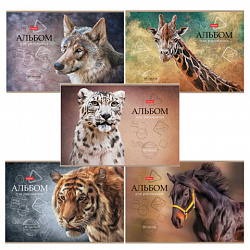 Альбом для рисования А4 48 л., скоба, матовая ламинация, тиснение, HATBER, 205х290 мм, "Дикий мир", 079735, 48А4лтВ