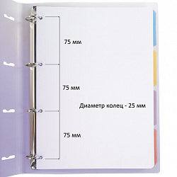 Тетрадь на кольцах БОЛЬШАЯ 305х235 мм А4, 120 л., пластик, с разделителями, BRAUBERG, Фиолетовый, 404623