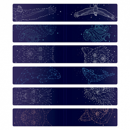 Закладки для книг МАГНИТНЫЕ, "GALAXY", набор 12 шт., 60x20 мм, BRAUBERG, 113171