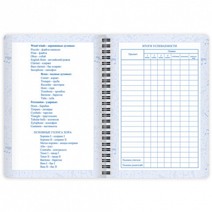 Дневник для музыкальной школы 48 листов, гребень, пластиковая обложка, картон, BRAUBERG, "МИКС", 107519