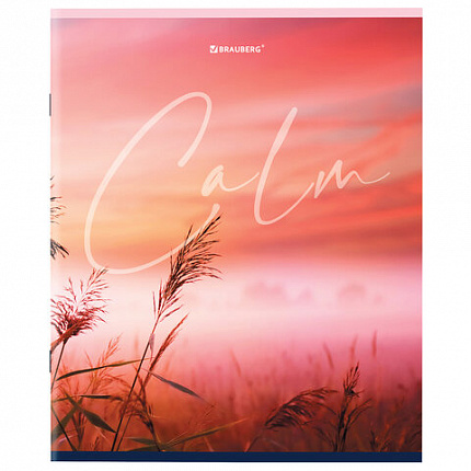 Тетрадь А5 96 л. BRAUBERG скоба, клетка, обложка картон, "Calm" (микс в спайке), 404435