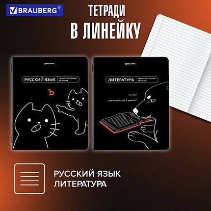 Тетради предметные, КОМПЛЕКТ 12 ПРЕДМЕТОВ, 48 л., TWIN-лак, BRAUBERG "МЕМЫ", 405172