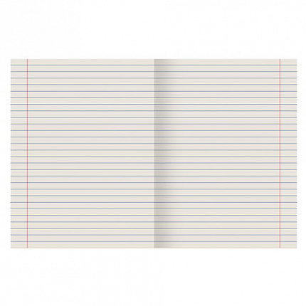 Тетрадь ЗЕЛЁНАЯ обложка 18 л., линия с полями, офсет №2 ЭКОНОМ, "ПИФАГОР", 104987