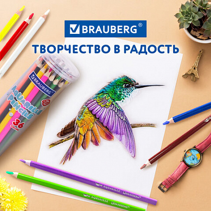 Карандаши цветные акварельные BRAUBERG PREMIUM AQUARELLE 36 цветов в тубе, трёхгранные, мягкие, 181933