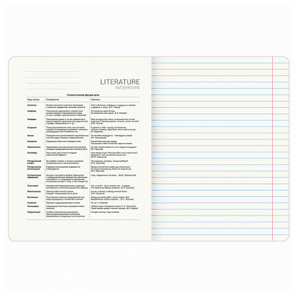 Тетрадь предметная ANIME 48 л., глянцевый УФ-лак, ЛИТЕРАТУРА, линия, BRAUBERG, 404540