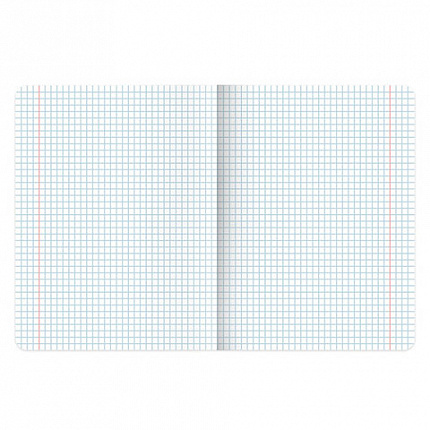 Тетради предметные, КОМПЛЕКТ 12 ПРЕДМЕТОВ, 48л, матовая ламинация, BRAUBERG, ПРИРОДА, 405606