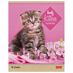 Тетрадь А5, 48 л., HATBER, скоба, линия, обложка картон, "КОТЯТА" (микс в спайке), 047012, 48Т5В2