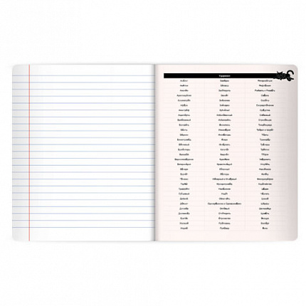 Тетрадь предметная КОТ-НЕПОСЕДА 48л, пластиковая обложка, РУССКИЙ ЯЗЫК, линия, подсказ, BRAUBERG, 405536