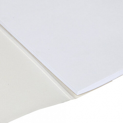 Альбом для рисования А4 40 л., склейка, обложка картон, подложка, BRAUBERG, 205х290 мм, "Краски лета", 106329