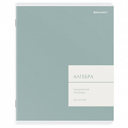 Тетради предметные, КОМПЛЕКТ 12 ПРЕДМЕТОВ 48 л., пластиковая обложка, BRAUBERG "MonoPastel", 405540