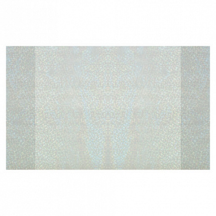 Обложки с ГОЛОГРАММОЙ для тетрадей и дневников, КОМПЛЕКТ 5 шт., ПЛОТНЫЕ, 100 мкм, 210x350 мм, FUNSTER, 274089