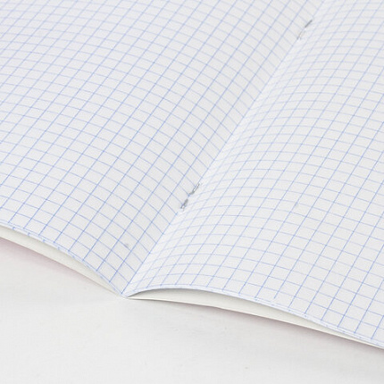 Тетрадь 18 л. BRAUBERG "ЭКО", клетка, обложка плотная мелованная бумага, ЗЕЛЕНАЯ ПАСТЕЛЬНАЯ, 105675