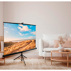 Экран Cactus Triscreen CS-PST-180x180, 180x180 см, 1:1, напольный, черный