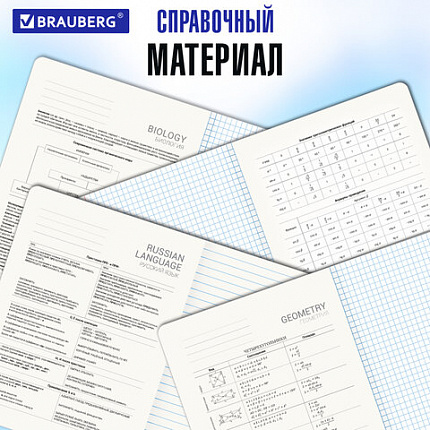 Тетради предметные, КОМПЛЕКТ 12 ПРЕДМЕТОВ, 48 л., SoftTouch, фольга, BRAUBERG, "MARBLE", 404326