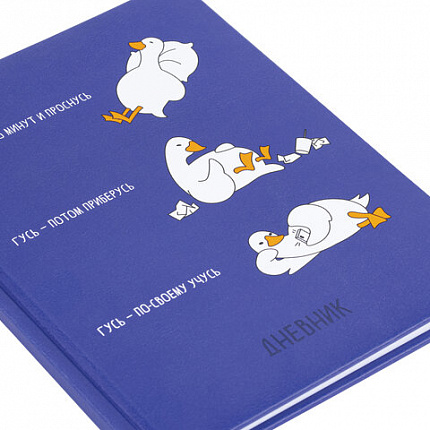 Дневник 1-11 класс 48 л., кожзам (твердая с поролоном), печать, ляссе с аппликацией, BRAUBERG, "Гуси", 107233