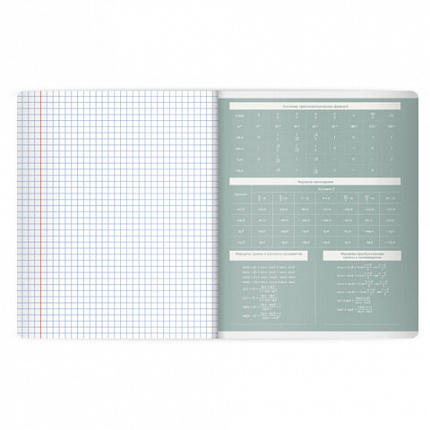 Тетради предметные, КОМПЛЕКТ 12 ПРЕДМЕТОВ 48л, пластиковая обложка, BRAUBERG "MonoPastel", 405540