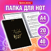 Папка-тетрадь для нот А4, 20 вкладышей на 40 страниц, на гребне, пластик, ЧЕРНАЯ, BRAUBERG, 404643