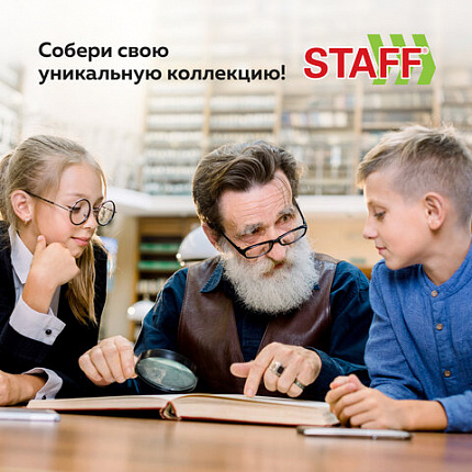 Альбом нумизмата для 297 монет и 6 бон (купюр) "OPTIMA", 230х270 мм, ПВХ, коричневый, STAFF, 238077