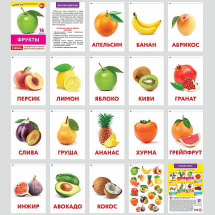 Карточки Домана, 8 развивающих брошюр по методике ГЛЕННА ДОМАНА, 145 изображений, ЮНЛАНДИЯ, 691022