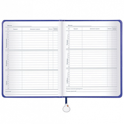 Дневник 1-11 класс 48 л., кожзам (твердая с поролоном), печать, ляссе с аппликацией, BRAUBERG, "Гуси", 107233