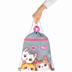 Мешок для обуви BRAUBERG, с петлей, светоотражающая полоса, 2 отделения, 46х36 см, "Hi there", 273449