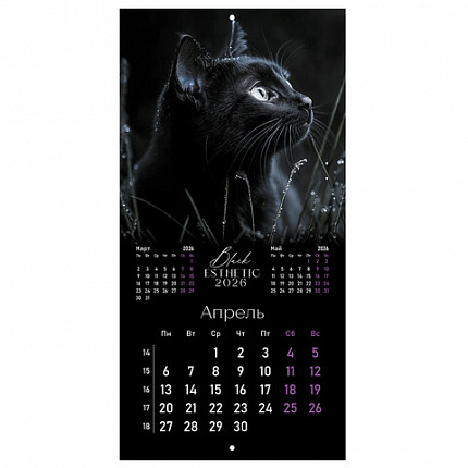 Календарь настенный перекидной 2026г, BRAUBERG, 12 листов, 28,5х28,5см, Black esthetic, 116927