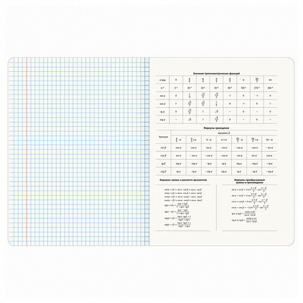 Тетради предметные, КОМПЛЕКТ 12 ПРЕДМЕТОВ, "КОТ-ЭНТУЗИАСТ", 48 л., TWIN-лак, BRAUBERG, 404609