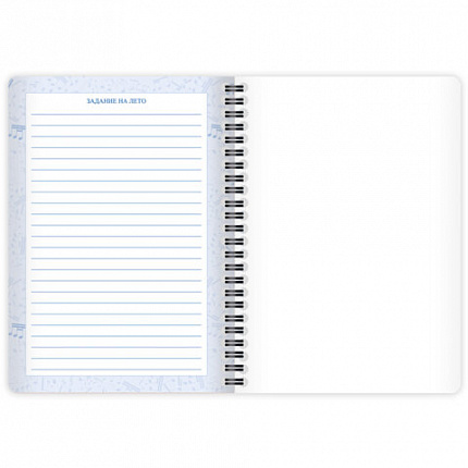 Дневник для музыкальной школы 48 листов, гребень, пластиковая обложка, картон, BRAUBERG, "МИКС", 107519