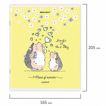 Тетрадь А5 48 л. BRAUBERG скоба, клетка, обложка картон, "Приключения Ёжика" (микс в спайке), 404366