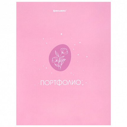 Папка-портфолио универсальная, 4 кольца, 20 файлов, 7БЦ матовая, BRAUBERG, "Gentle", 117558