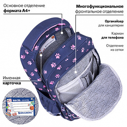 Рюкзак BRAUBERG MOTION, 2 отделения, 3 кармана, "Pawprints", 41х28х17 см, 271362