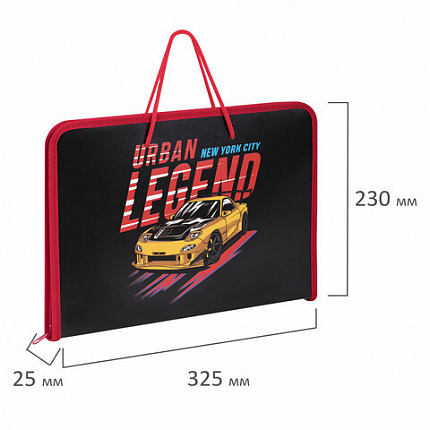 Папка для труда на молнии с ручками ПИФАГОР А4, 1 отделение, пластик, органайзер, "Street Legend", 271473