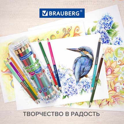 Карандаши цветные мягкие двусторонние BRAUBERG PREMIUM TWIN COLOUR, 24 штуки, 48 цветов, туба, 181876