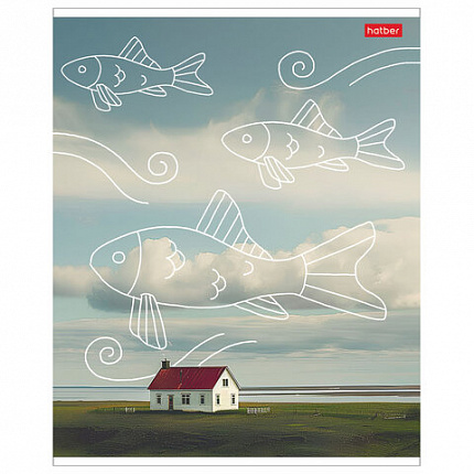 Тетрадь обложка пластик, А5, 48 л., скоба, клетка, HATBER, "Во сне и наяву" (микс), 087648, 48Т5В1пл