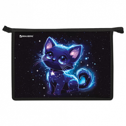 Папка для труда на молнии BRAUBERG А4, 2 отделения, органайзер, "Space kitten", 274531